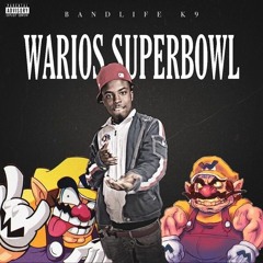 WarioSuperBowl- BandLifeK9