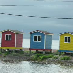 Routes & Branches & Beyond show # 390 2025 12 04