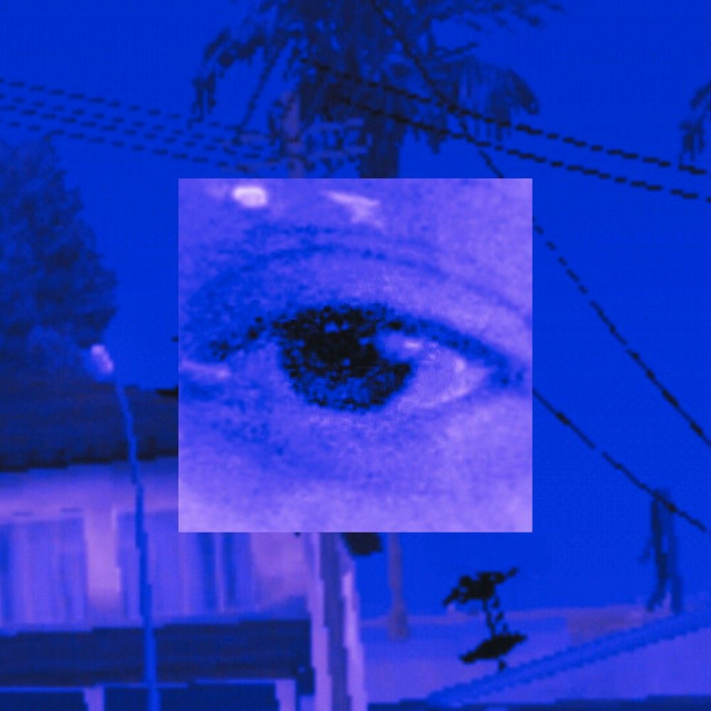 Dxisn2