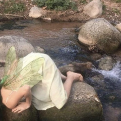 luxury x competition