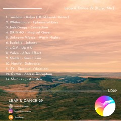 Leap & Dance DJ Mixes