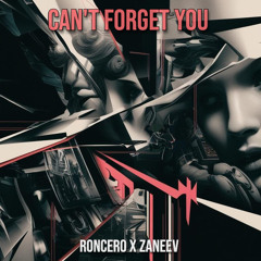 Roncero , Zaneev - Can't Forget You