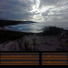 2024.12.01 Tawny-crowned Honeyeater. Two Excerpts. Cape Kersaint. Early Summer.