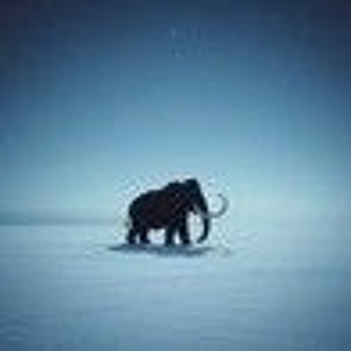 _Long Walks Towards Silence._ (2).mp3