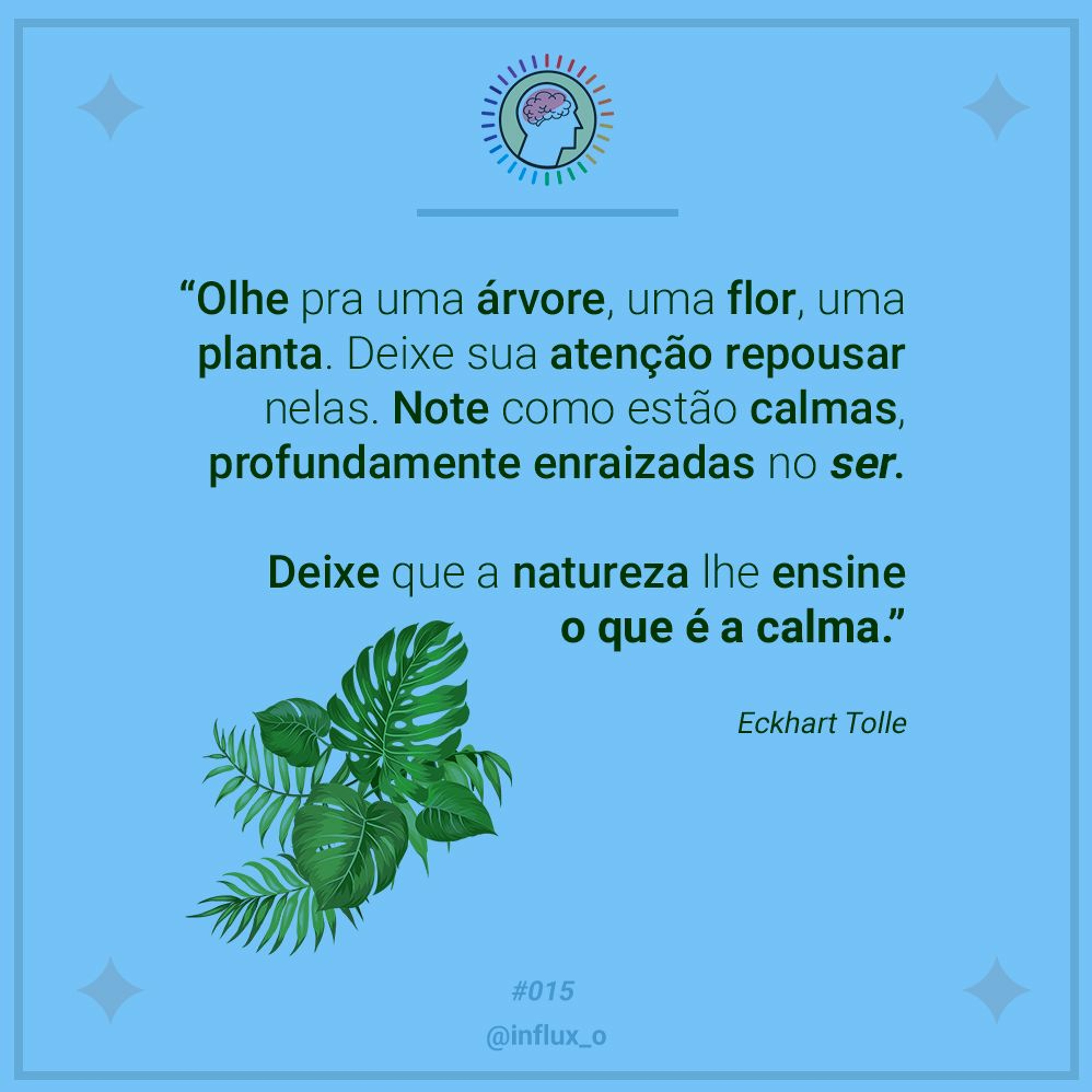influxo
