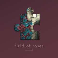 field of roses