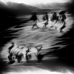 Steps Into The Unknown