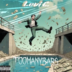 TooManyBars