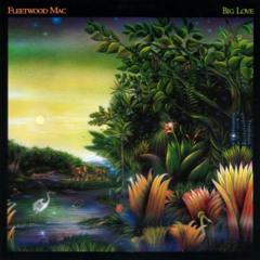 Fleetwood Mac - Big Love (SafetyJac Re-Edit)