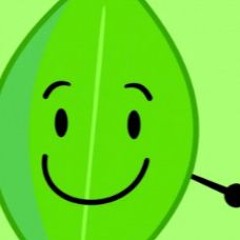 Yoyledventure: An BFDI Branches Remix