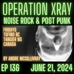 Operation X-Ray 2024 to AUG