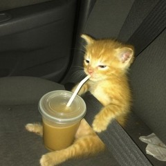 Is this really it? / @Luxid