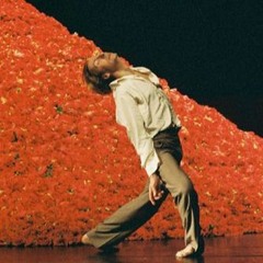 MASCULINO NUTRIDO - parte 2