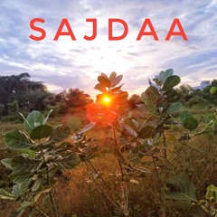 Sajdaa