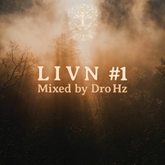 L I V N #1
