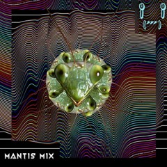 Vieira Mantis Mix 01 (1k Special)