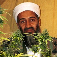 Osama Bin Laden
