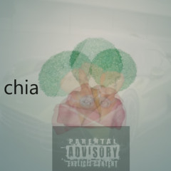 chia Pet