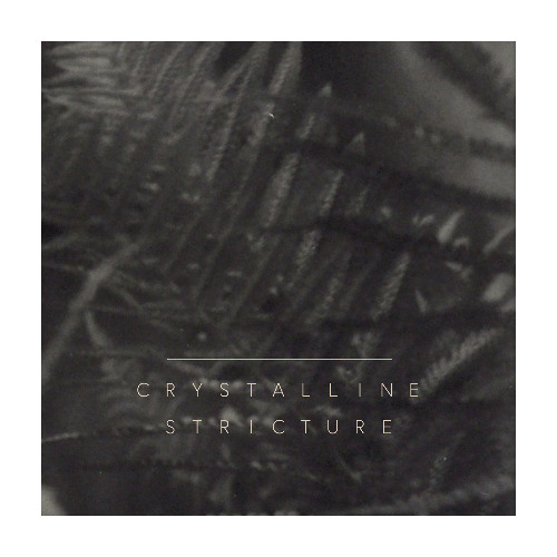 Crystalline Stricture - Take Me To The Dark