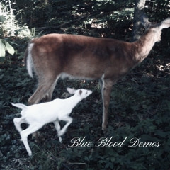 Quiet In The Suburbs