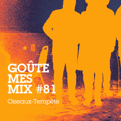 Goûte Mes Mix #81 : Oiseaux-Tempête