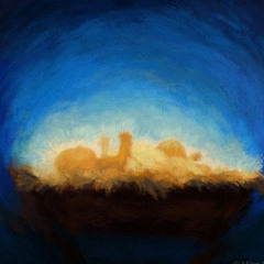 O Come All Ye Faithful / His Name Shall Be