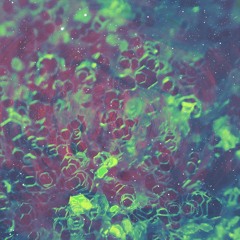 Pattern Recognition w/ R A L L Y - 07/02/2025