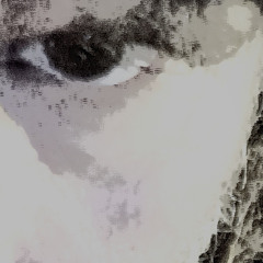 a happy moment, with a melancholic mood.