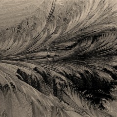 Black 006