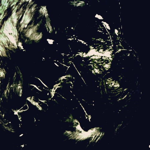 Investigative Journalist Wanted