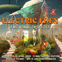 Electric Eden 2024 main stage