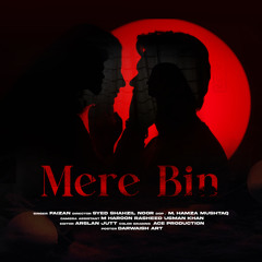 Mere Bin