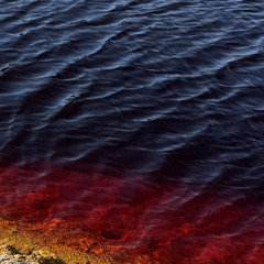 POSTSCRIPTUM - BCR EP006