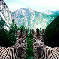 Music for lonely people