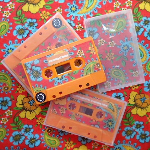 Assembly of honey - Positive opposition to common sense (cassette)