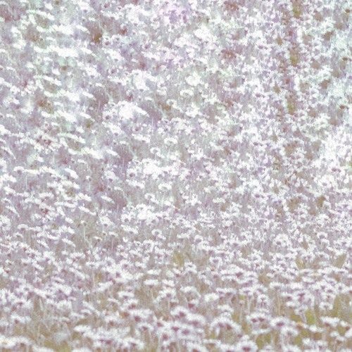 bouncing over the meadow [125-135 bpm]