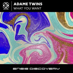 Adame Twins - What You Want (OUT NOW)[ENSIS DISCOVERY]