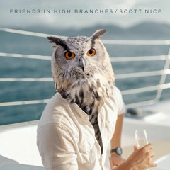 Scott Nice - Friends in High Branches