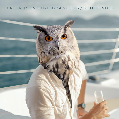 Scott Nice - Friends in High Branches