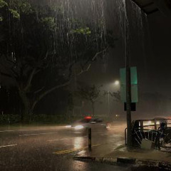 rainydaiz