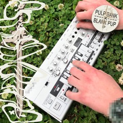 plankpub