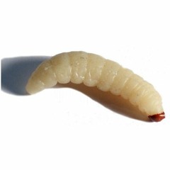 Magico Tree vol.38 - Parallel Lifes