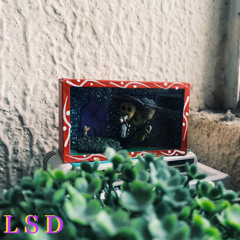 L S D