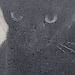 ''vamo jogar bola é 5 horas ainda, da tempo''