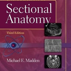 View PDF Introduction to Sectional Anatomy (Point (Lippincott Williams & Wilkins)) by  Michael Madde