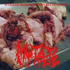 Mangled Beyond Human Recognition