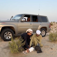 المحبة - حربي العامري