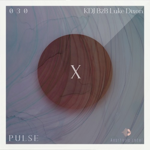 PULSE | X Session 030 | Luke Dixon B2B KDJ