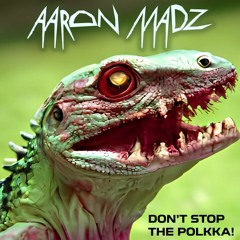Aaron Madz - Don't Stop The Polkka!