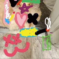 My cat injects fentanyl and won’t stop trying to kill me in my sleep I’m in psychosis